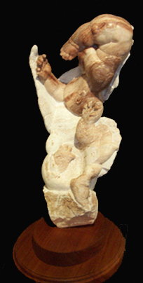 OntogenyRecapitulatesPhylogeny